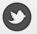 Siguenos en Twitter